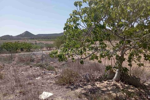 Landejendom i Monovar, Alicante, Monovar - € 115.000 | Ref: SF0505 - foto 24